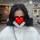 필프로헤어