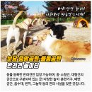 행복한댕댕이 네이버블로그