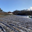 사리보건지소 이미지