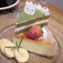 슈르르까2 이미지