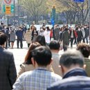 인파니 이미지