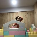 키아오라카페