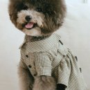오드투펫