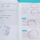 최강영어시스템