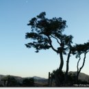 조개까는 세상 이미지