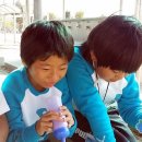 창수초교 이미지