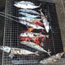 여남초등학교 | 금오도 여행:: 남편의 행복한 추억이 있는, 우리에게도 행복한 기억을 남긴 그 곳