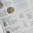 어거스트바이브 이미지