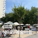 후촌갈대숲마을 | 경기도 파주 가볼만한 곳 데이트 코스 추천 헤이리 예술마을
