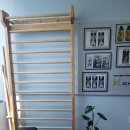 베어리핏 이미지