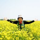 정화미장원