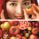 토마토광고 이미지