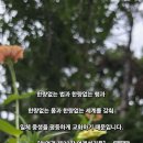한량없는 법과 한량없는 행과 이미지
