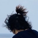 송지호해변(중앙) 이미지