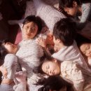 화사 - 수원시 장안구 | 화사