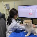 대성동물병원 이미지