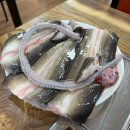 힘센 민물장어 이미지