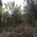 길상면-1 이미지