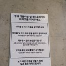 용인브런치카페인 카페스윔에서 오믈렛과 파스타 먹은후기
