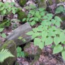 종수 농장 이미지