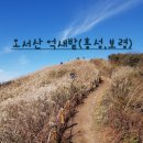 홍성 오서산공영주차장 이미지