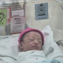 아프니까 죽이다 | [출산기록] 분당차병원 제왕절개 수술 2일차 (입원 3일차) 페인부스터 안쓴거 엄청 후회함, 배가...