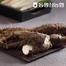 동횡성농업협동조합 이미지