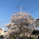 청전옛날통닭 | 요즘 일상 ) 화순 드라이크리닝 세일, 양동통닭, 밝은안과 라식 정밀검사 후기