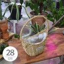 몰몰하우스 이미지