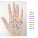 손금 보기전 알아야할 기본선 이미지