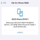 와이즈로지스