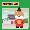 케이마이스 이미지