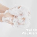 비바워시 이미지