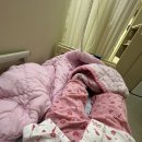 부림약국 | 맹장염(충수염) 수술 및 퇴원 후기