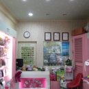 프로펫 애견샵 이미지