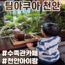 천안신방동물약국 | 천안 아이랑 가볼만한 곳 팀아쿠아 솔직후기 :: 수족관카페 만족도 100%