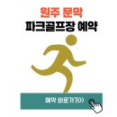 원주 문막 파크골프장 예약 요금 코스 초보자 이용 방법