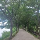 회동주차장 이미지