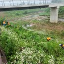 컴포트정신건강의학과의원 이미지