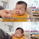 단이네