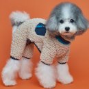 아이도그 이미지