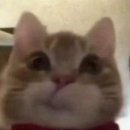 꾸꾸까까 이미지