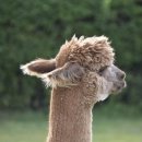 무학모텔 이미지