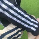 포켓몬고 투어 2025 : 하나지방 ♡ 후기