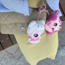 서프라이즈짐 이미지