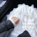 미즈민 | 포기 못하는 사람의 지그재그 장바구니 미즈민 레이스 캉캉 스커트(기모) 솔직후기 (feat. 삿포로 여행 룩)