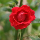 오월의 언덕 이미지