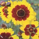 춘아농장 이미지