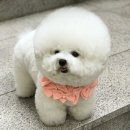 별빛약국 이미지
