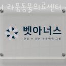 라움동물병원 이미지